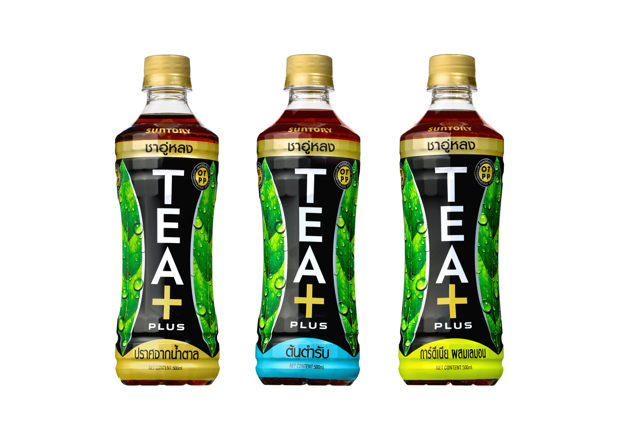 Launch of Suntory Brand Oolong Tea "TEA+ Oolong Tea" in Thailand | News