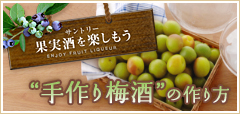 �T���g���[�ʎ������y������