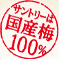 �T���g���[�͍��Y�~100��