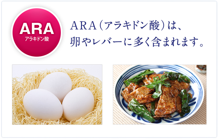 ARA アラキドン酸　ARA（アラキドン酸）は卵やレバーに多く含まれます。