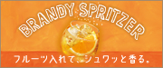 �u�����f�[�X�v���b�c�@�[