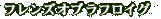 �t�����Y�I�u���t���C�O