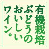 �L�@�͔|�Ԃǂ��̂����������C���B