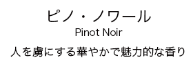PinotNoir