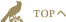 トップページ