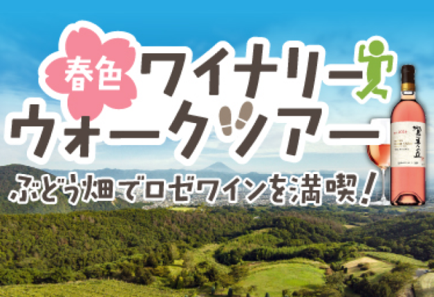 20260313_tominooka_roze_fair_002_628x430.png