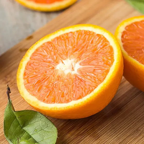 旬の食材・オレンジの写真