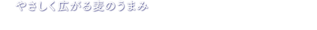 やさしく広がる麦のうまみ 国産麦芽をふんだんに使用し、やさしく広がる麦のうまみを引き出しました。