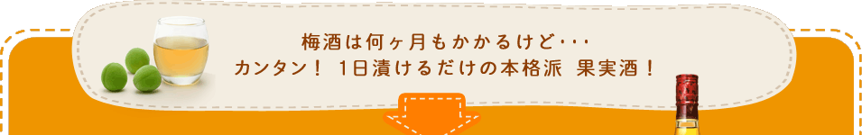梅酒は何ヶ月もかかるけど･･･カンタン！1日漬けるだけの本格派 果実酒！