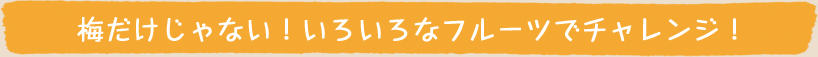 梅だけじゃない！いろいろなフルーツでチャレンジ！