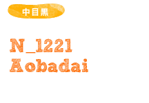 N_1221 Aobadai