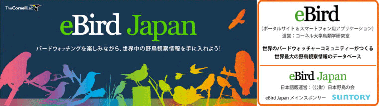 日本野鳥の会 : eBird Japan (wbsj.org)