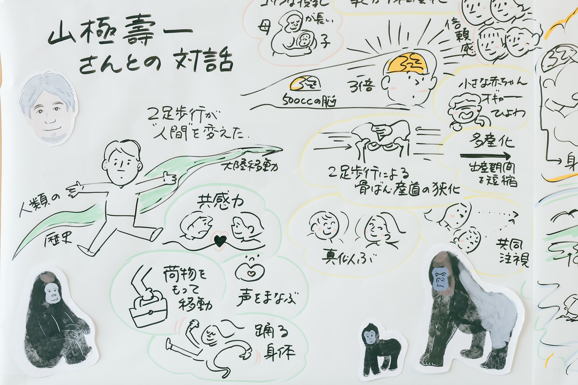 合同レビューの内容がまとめられたグラフィックレコーディング