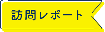 訪問レポート