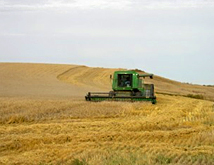 大麦の生産地イメージ