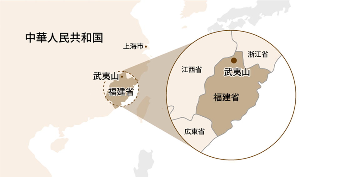 ウーロン茶の生産地