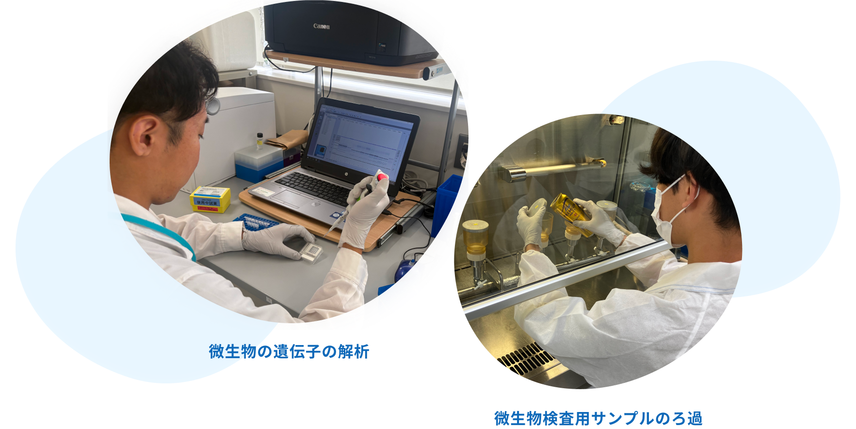 微生物の遺伝子の解析 / 微生物検査用サンプルのろ過