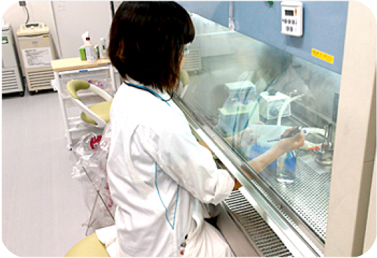 培養細胞を用いた染色体異常試験 イメージ図