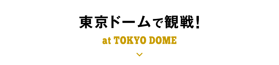 東京ドームで観戦へ移動