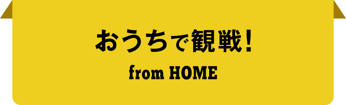 おうちで観戦