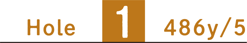 Hole1 486y/5