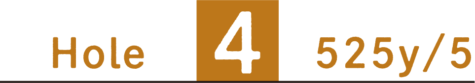 Hole4 525y/5