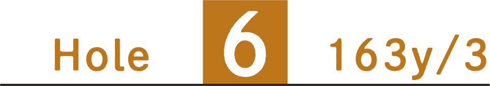 Hole6 163y/3