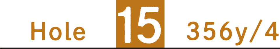 Hole15 356y/4