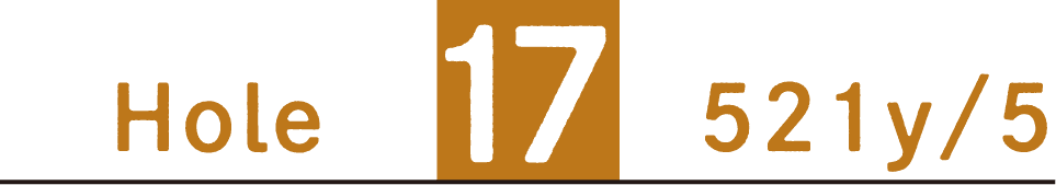 Hole17 521y/5