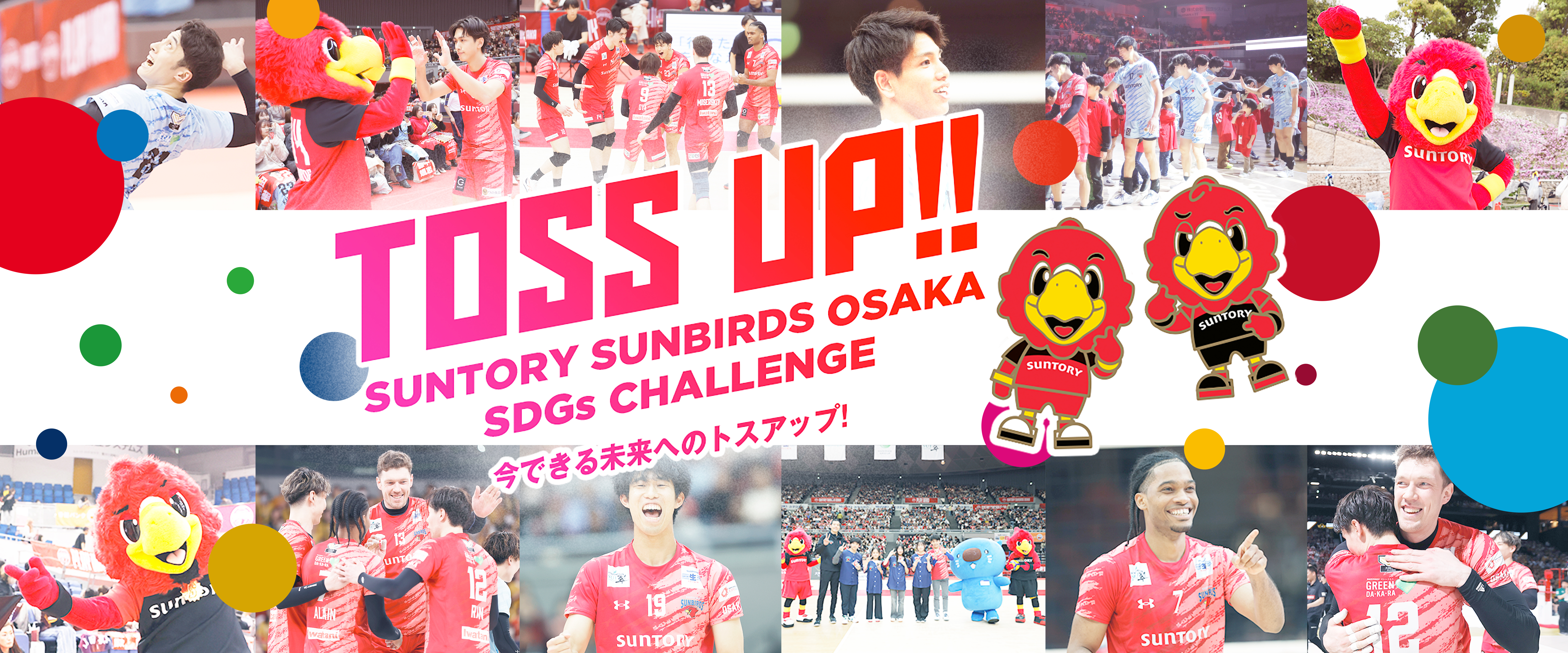 ※使用 TOSS UPページバナー2025_PC版.jpg