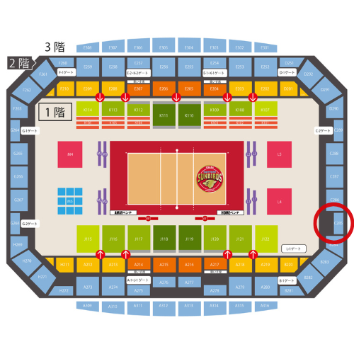 一緒に声を出して応援しよう！東レアローズ静岡戦 「ラウドエリア（声