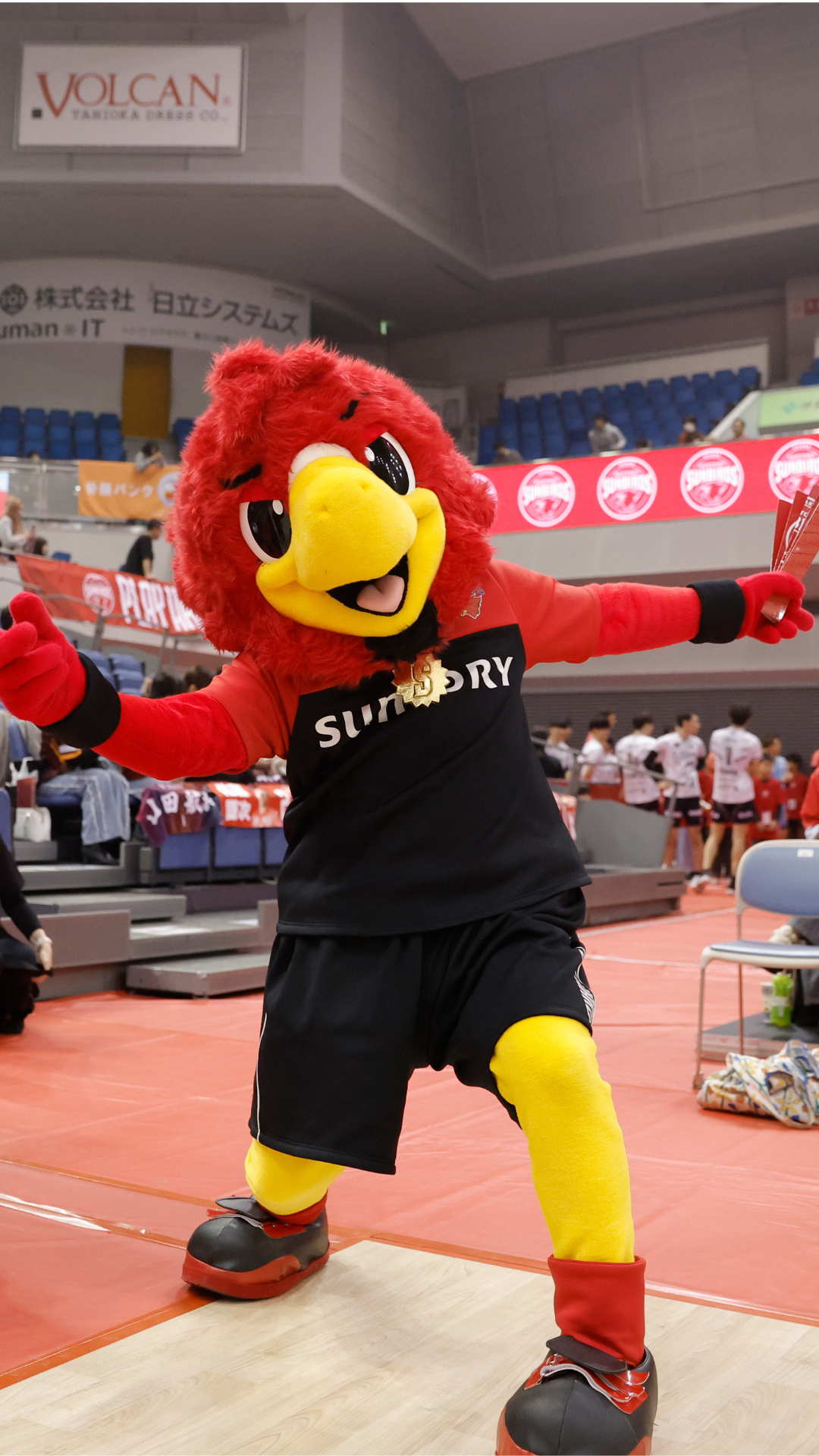 始球式出演のお知らせ SUNBIRDS 大阪 サントリー