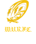 早稲田大学