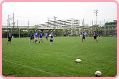 このくらいの天候が最適