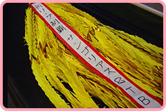 祈リーグ制覇　サンゴリアス＆TB