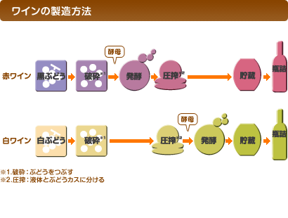 ワインはどのようにしてつくるのですか？