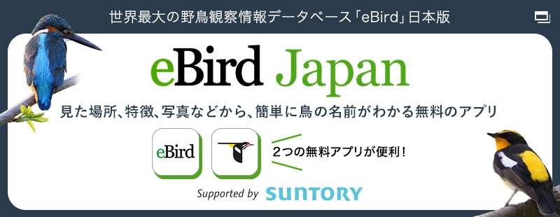 世界最大の野鳥観察情報データベース「eBird」日本版 eBird Japan 見た場所、特徴、写真などから、簡単に鳥の名前がわかる無料のアプリ 2つの無料アプリが便利!Supported by SUNTORY 