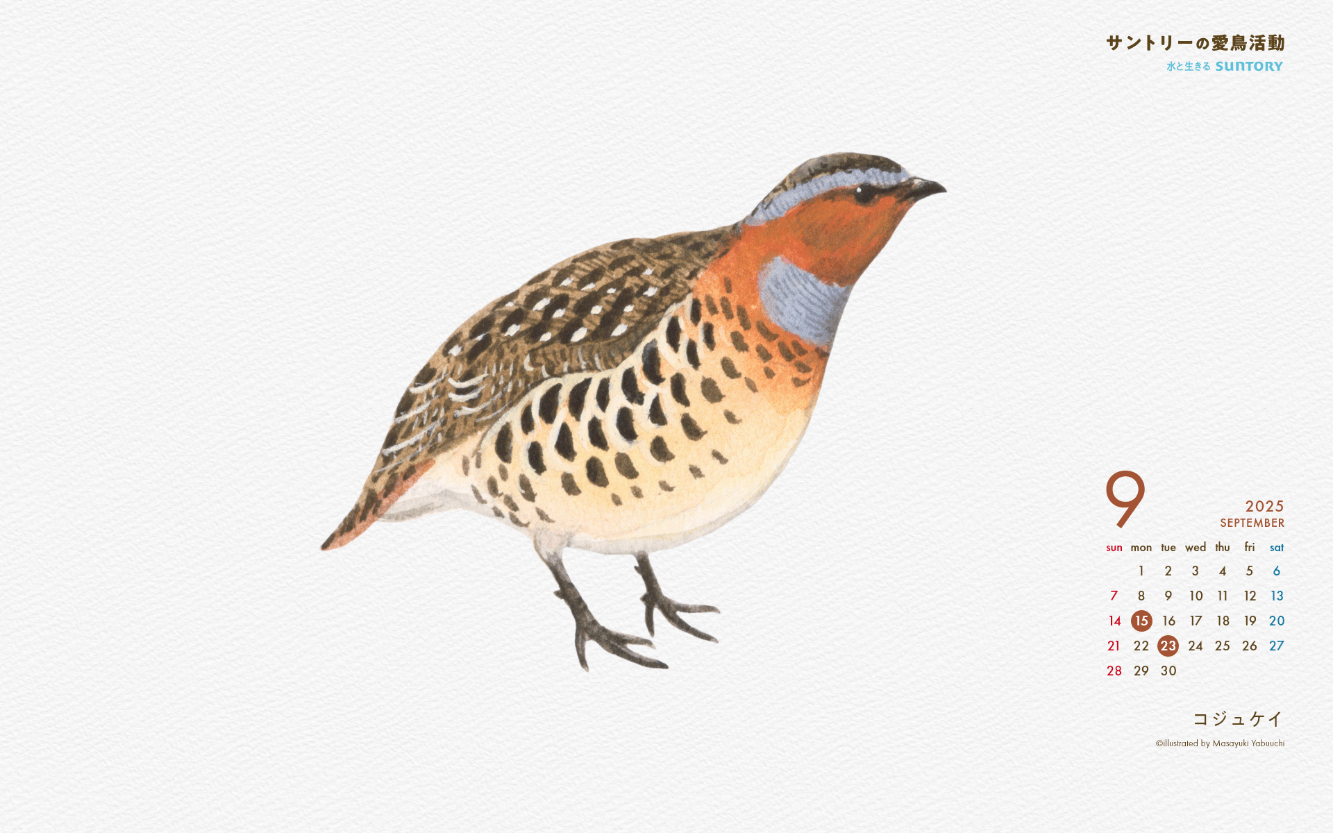 2025年9月壁紙カレンダー コジュケイ