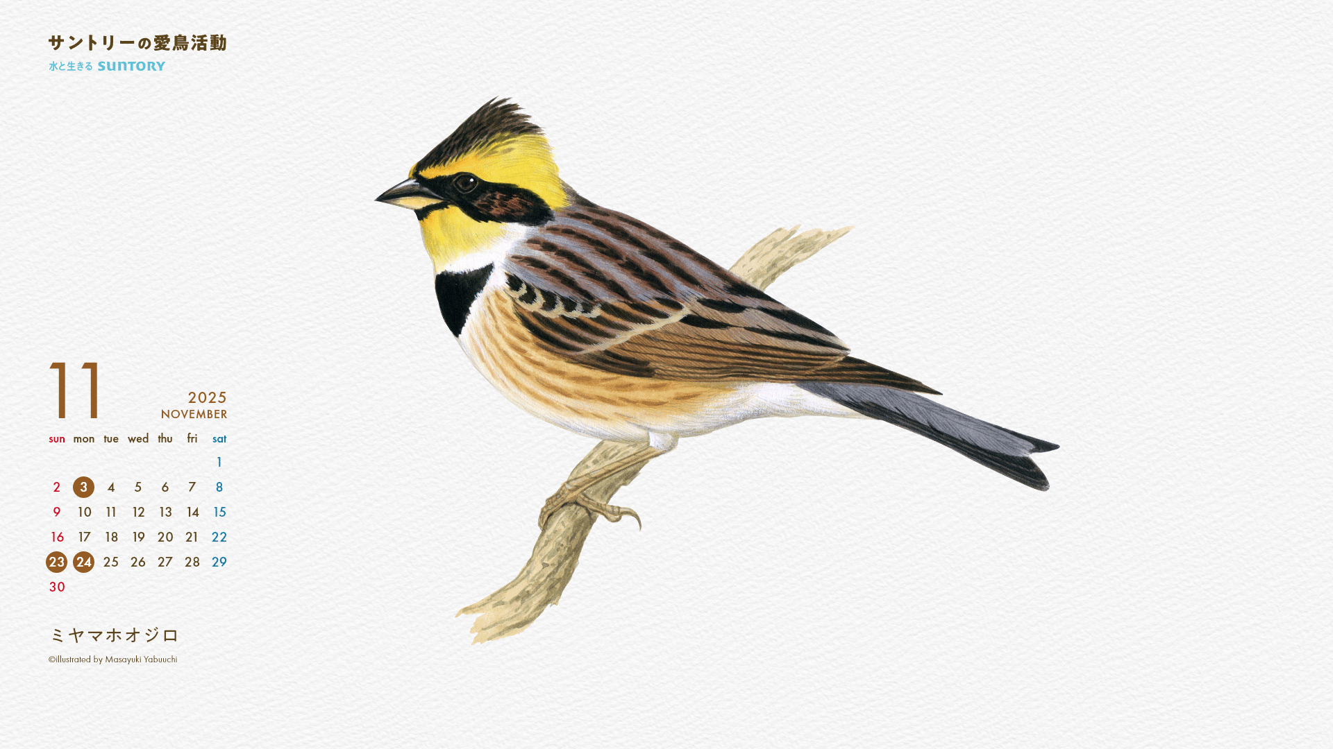 2025年11月壁紙カレンダー ミヤマホオジロ