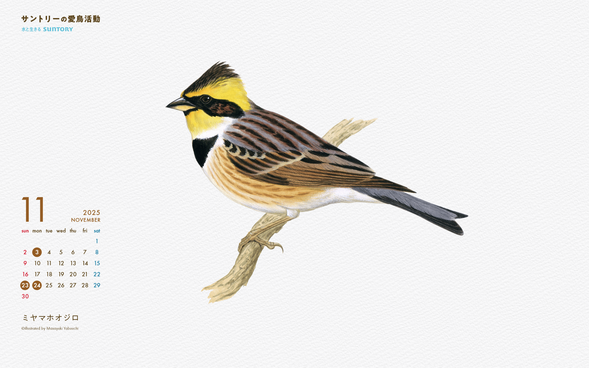2025年11月壁紙カレンダー ミヤマホオジロ