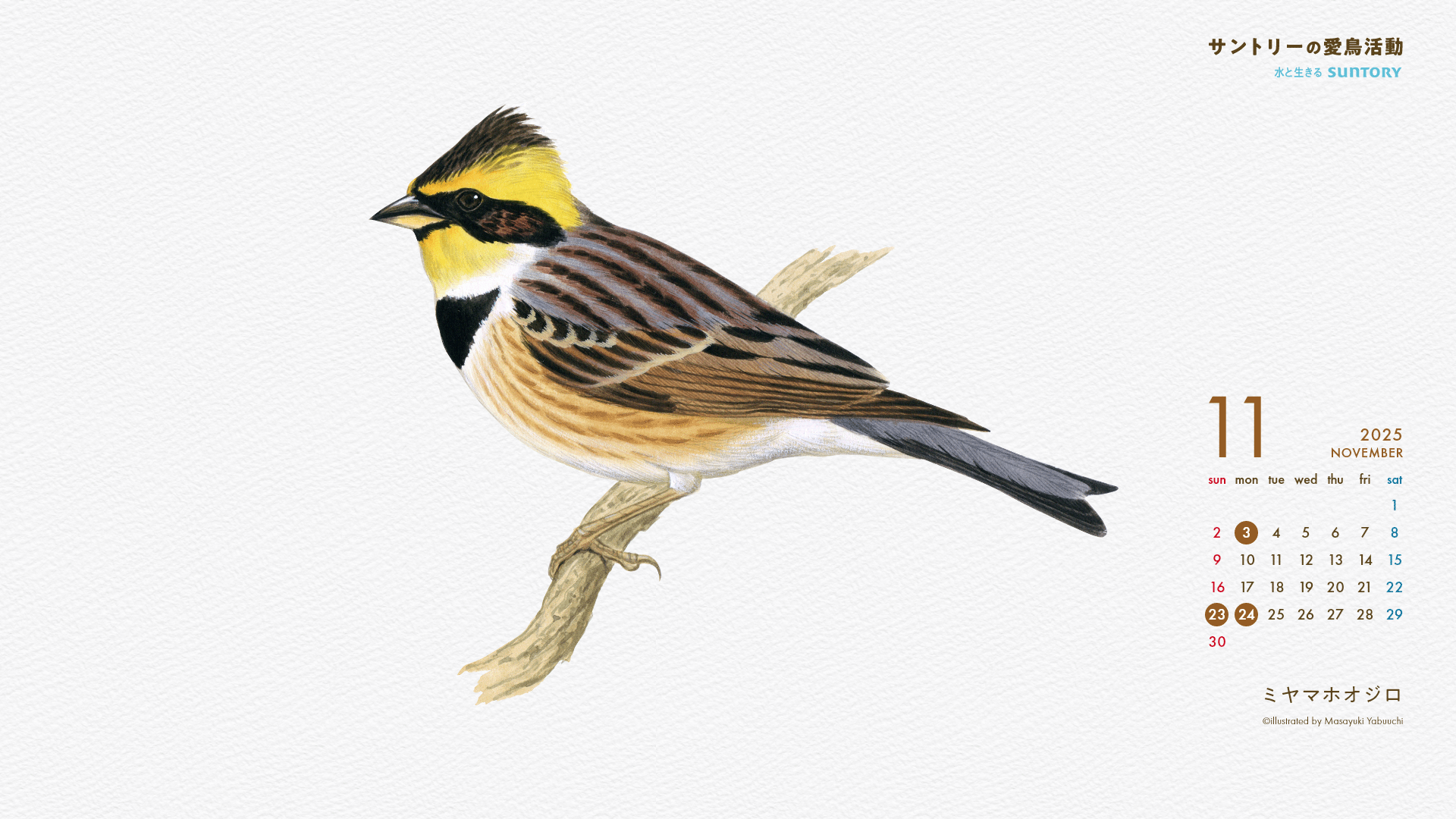 2025年11月壁紙カレンダー ミヤマホオジロ