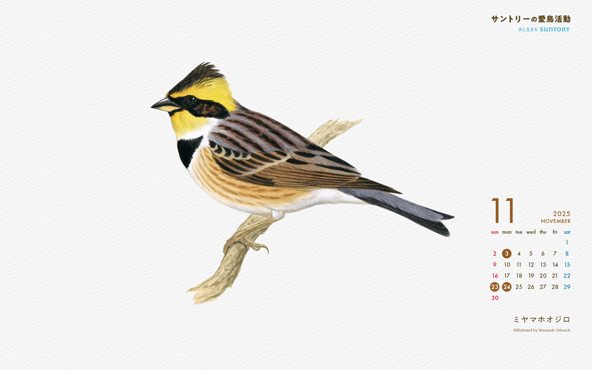 2025年11月壁紙カレンダー ミヤマホオジロ
