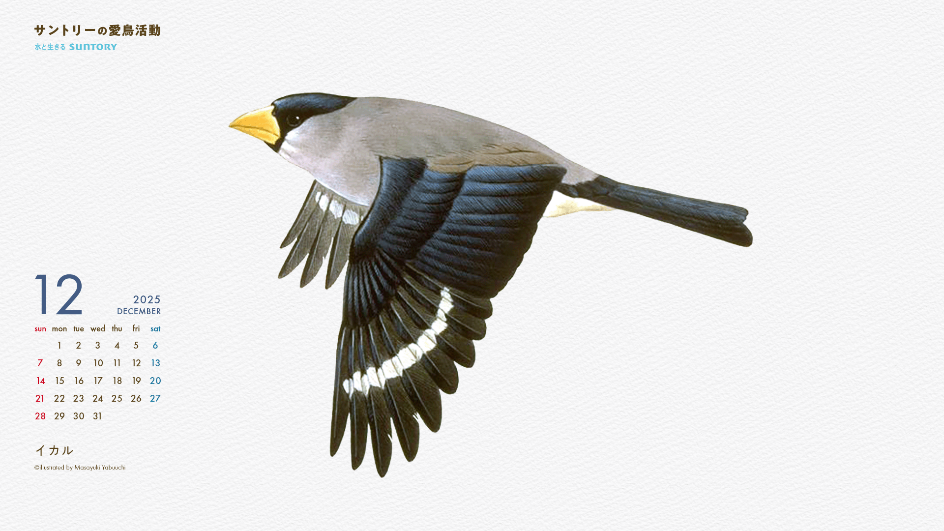 2025年12月壁紙カレンダー イカル