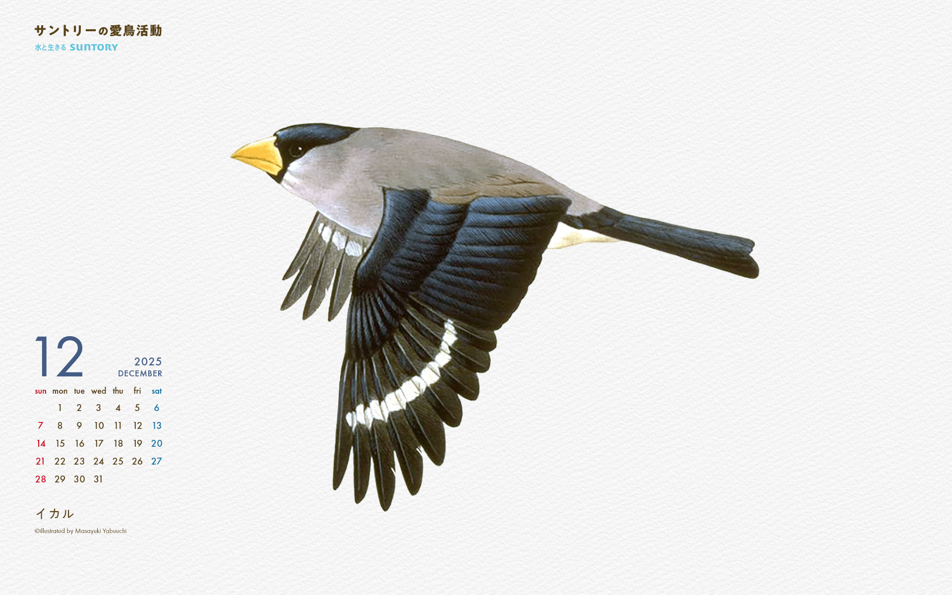 2025年12月壁紙カレンダー イカル