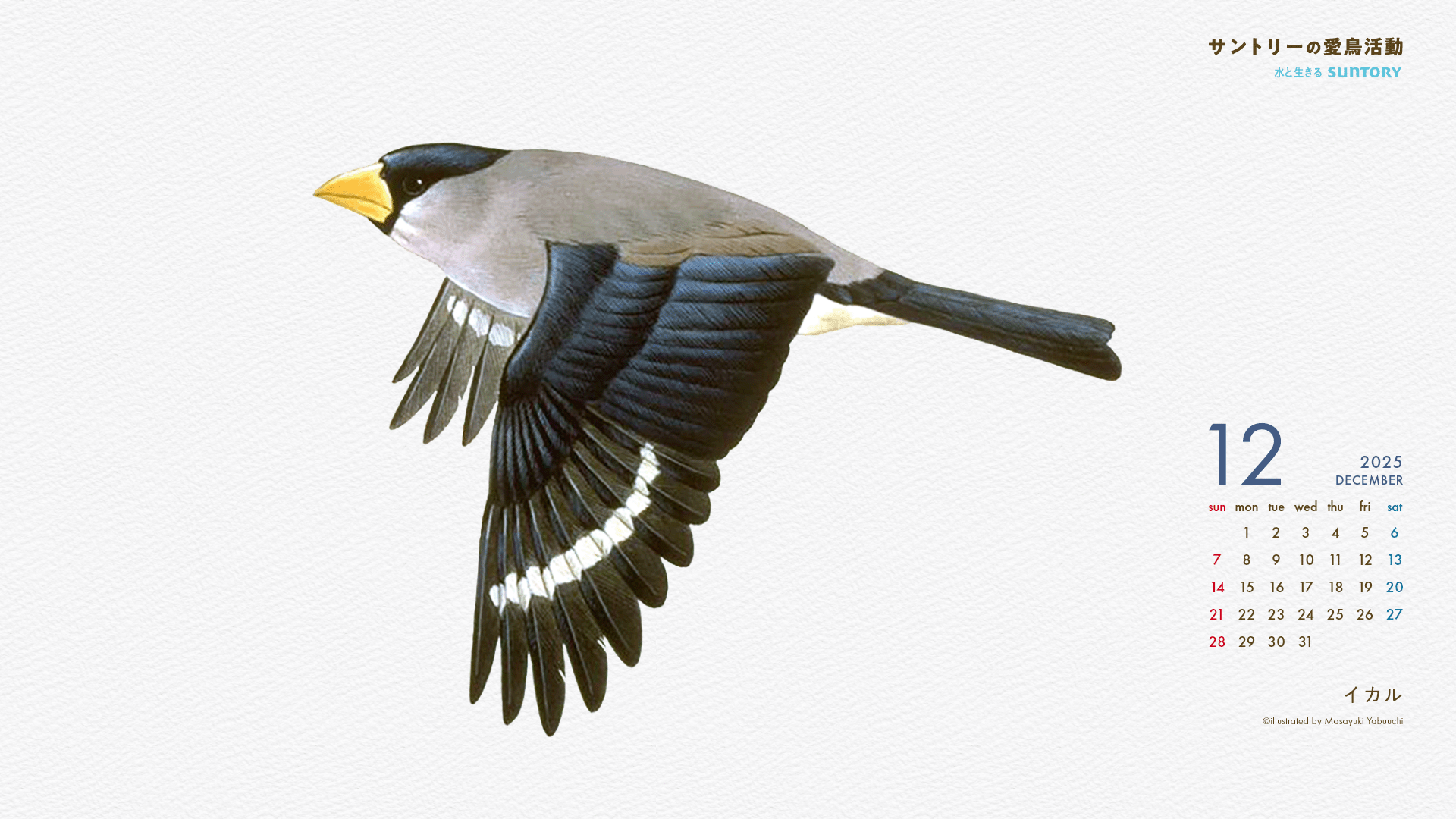 2025年12月壁紙カレンダー イカル