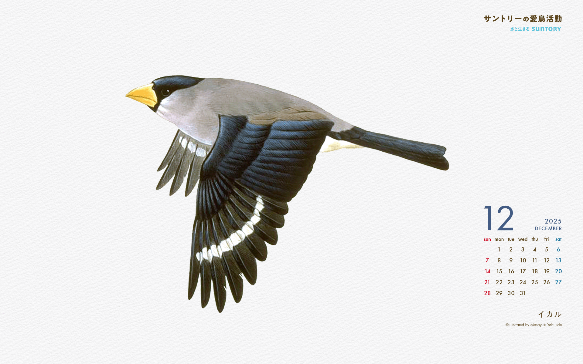 2025年12月壁紙カレンダー イカル