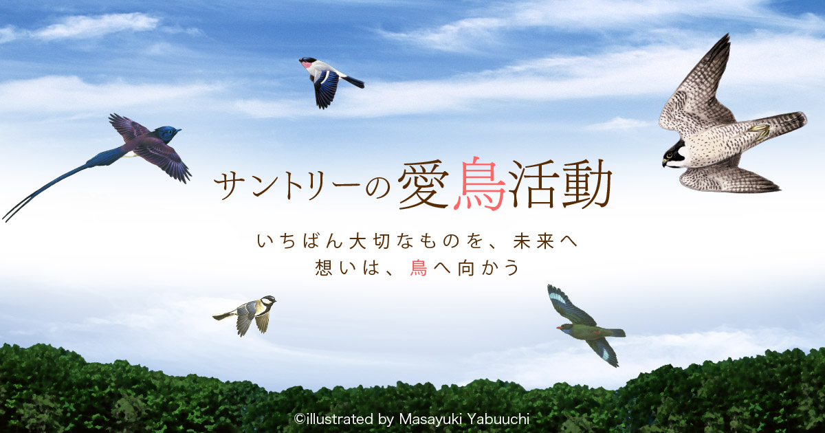 ジョウビタキ 日本の鳥百科 サントリーの愛鳥活動