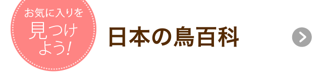 日本の鳥百科