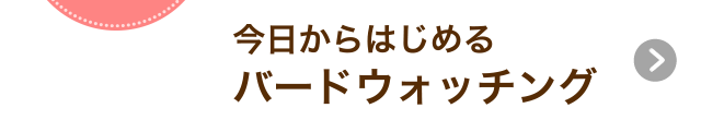 今日からはじめるバードウォッチング