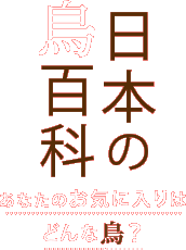 日本の鳥百科 あなたのお気に入りはどんな鳥？